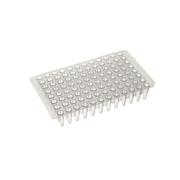 96 Well PCR Plate