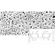 Regenerated Cellulose Filters