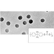 Polycarbonate Filters