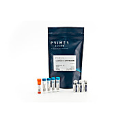 oasig Lyophilised qPCR Master Mix, 150 reactions