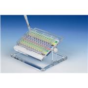 Adjustable Acrylic Well Plate Stand