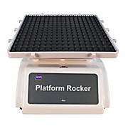2D Rocker