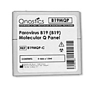 B19 Molecular Q Panel