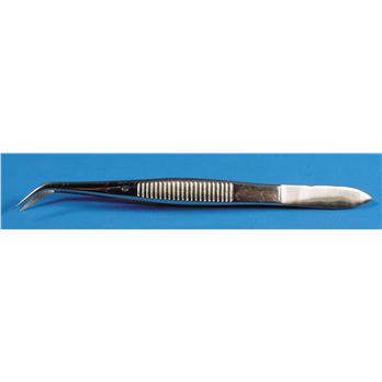 Stainless Steel Forceps - Serrated Tips