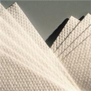 PRO-WIPE® 750 Wipers