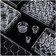 Cell Inserts