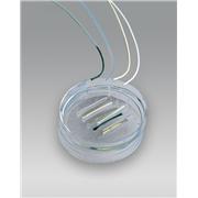 Hollow Fiber Cell Implantation