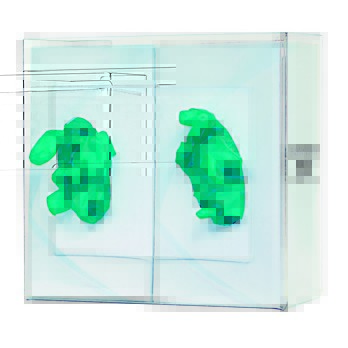 Glove Box Dispenser - Double - Clear PETG Plastic