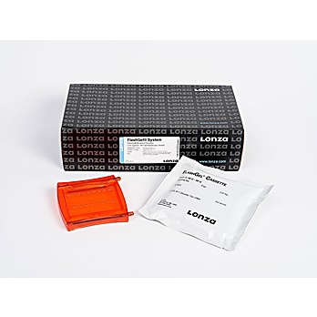 FlashGel DNA Kit