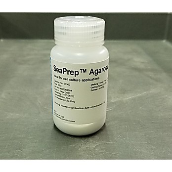 SeaPrepTM Agarose, 25 g
