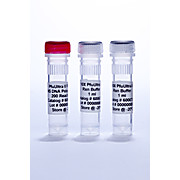 PfuUltra High-Fidelity DNA Polymerase Alternative Detergent