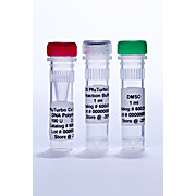 PfuTurbo DNA Polymerase