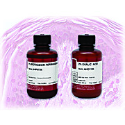 Melanin Bleach Stain Kit