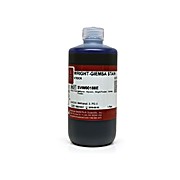 Wright-Giemsa Stain /Pint (Mto)