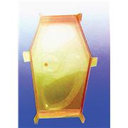 Plant Cell Model