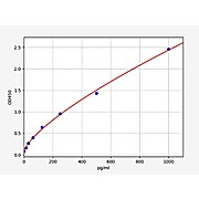 Human IFN gamma ELISA Kit