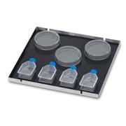 Talboys Culture Platform Stainless Steel