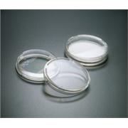 Absorbent Pads