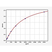 Human GZMK/Granzyme K ELISA Kit