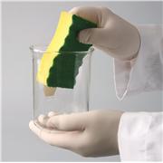 Cleanware™ Glassware Scrubbing Sponge