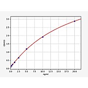 Human Connexin 26/GJB2 ELISA Kit