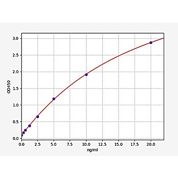 Human Connexin 26/GJB2 ELISA Kit