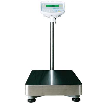 Floor Check Weighing Scales