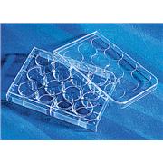 Costar® Clear Not Treated Multiple Well Plates