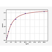 Human CRABP2  ELISA Kit