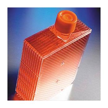 33MM Solid Polyethylene Cap