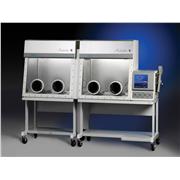 Protector DW Combo Glove Box