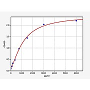 Human WISP3/CCN6 ELISA Kit