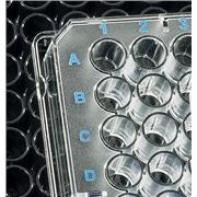 BRANDplates® lipoGrade™ Immunoassay Microplates