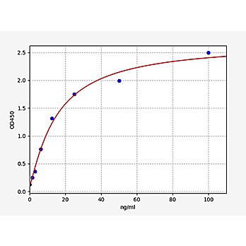 Human anti-nuclear antibody ELISA Kit