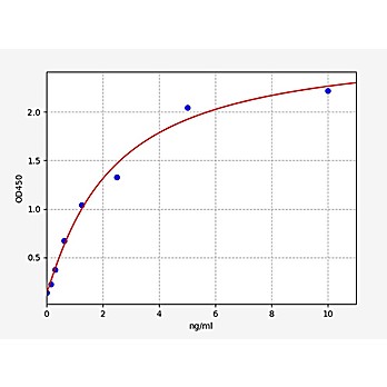 Human ERG(Transcriptional regulator ERG) ELISA Kit