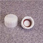 Sealing Cap O-Rings