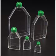 Tissue Culture Flasks