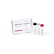 VeriFi™ Polymerase