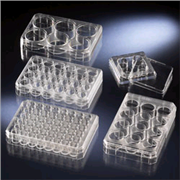 Multidish PS 24 Well Non-Treated Round w / Lid Sterile