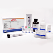 HIV-2 Blot 1.2 (RUO)