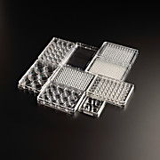 Multiple Well Plates