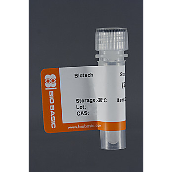 RNase A Solution (10mg/ml)