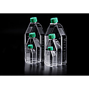 Cell Culture Flask