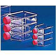 Treated Cell Culture Flask