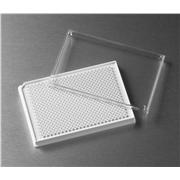 Corning® Low Volume 384 Well White Flat Bottom Polystyrene TC-Treated Microplates