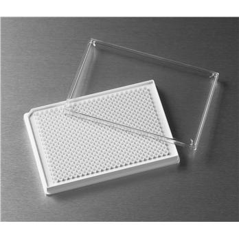 Corning® Low Volume 384 Well White Flat Bottom Polystyrene TC-Treated Microplates