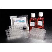 Corning® BioCoat™ Fibrillar Collagen I 24-Multiwell Insert Systems, PET Membrane, with feeder tray and lid