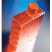 Hyperflask Cell Culture Flask