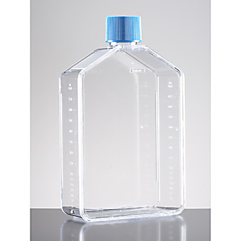 Corning® BioCoat™ Collagen IV-coated Flasks