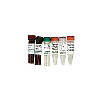 OneStep qMethyl-Lite